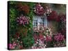 Farmhouse Window Surrounded by Flowers, Ille-et-Vilaine, Brittany, France, Europe-Tomlinson Ruth-Stretched Canvas