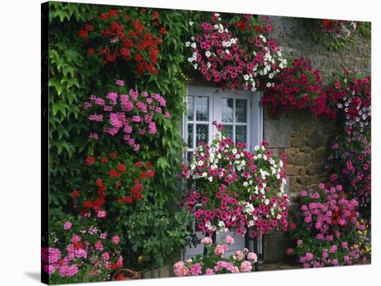Farmhouse Window Surrounded by Flowers, Ille-et-Vilaine, Brittany, France, Europe-Tomlinson Ruth-Stretched Canvas