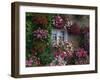 Farmhouse Window Surrounded by Flowers, Ille-et-Vilaine, Brittany, France, Europe-Tomlinson Ruth-Framed Photographic Print