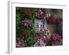 Farmhouse Window Surrounded by Flowers, Ille-et-Vilaine, Brittany, France, Europe-Tomlinson Ruth-Framed Photographic Print