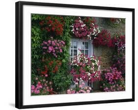 Farmhouse Window Surrounded by Flowers, Ille-et-Vilaine, Brittany, France, Europe-Tomlinson Ruth-Framed Photographic Print