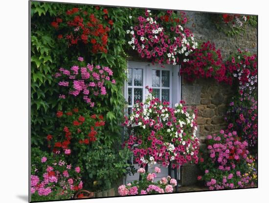 Farmhouse Window Surrounded by Flowers, Ille-et-Vilaine, Brittany, France, Europe-Tomlinson Ruth-Mounted Photographic Print