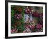 Farmhouse Window Surrounded by Flowers, Ille-et-Vilaine, Brittany, France, Europe-Tomlinson Ruth-Framed Photographic Print