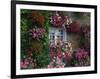 Farmhouse Window Surrounded by Flowers, Ille-et-Vilaine, Brittany, France, Europe-Tomlinson Ruth-Framed Photographic Print