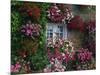 Farmhouse Window Surrounded by Flowers, Ille-et-Vilaine, Brittany, France, Europe-Tomlinson Ruth-Mounted Photographic Print