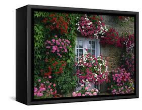 Farmhouse Window Surrounded by Flowers, Ille-et-Vilaine, Brittany, France, Europe-Tomlinson Ruth-Framed Stretched Canvas