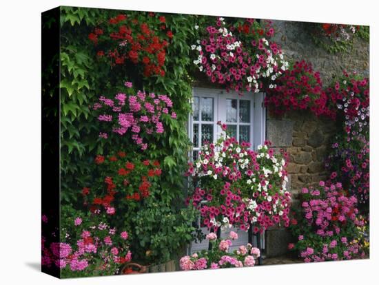 Farmhouse Window Surrounded by Flowers, Ille-et-Vilaine, Brittany, France, Europe-Tomlinson Ruth-Stretched Canvas