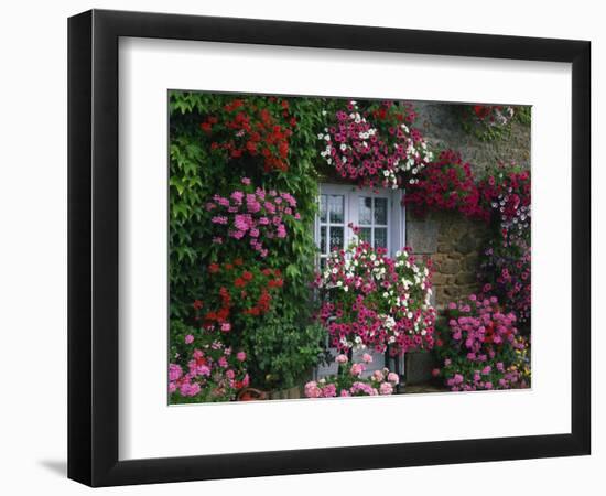 Farmhouse Window Surrounded by Flowers, Ille-et-Vilaine, Brittany, France, Europe-Tomlinson Ruth-Framed Photographic Print