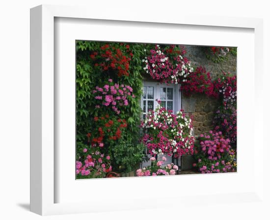 Farmhouse Window Surrounded by Flowers, Ille-et-Vilaine, Brittany, France, Europe-Tomlinson Ruth-Framed Photographic Print