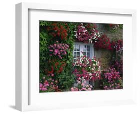 Farmhouse Window Surrounded by Flowers, Ille-et-Vilaine, Brittany, France, Europe-Tomlinson Ruth-Framed Photographic Print