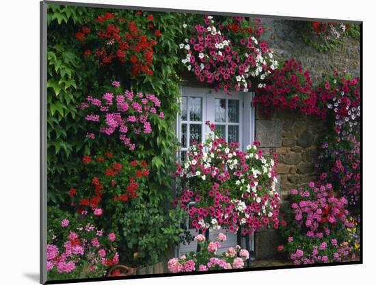 Farmhouse Window Surrounded by Flowers, Ille-et-Vilaine, Brittany, France, Europe-Tomlinson Ruth-Mounted Photographic Print