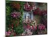 Farmhouse Window Surrounded by Flowers, Ille-et-Vilaine, Brittany, France, Europe-Tomlinson Ruth-Mounted Premium Photographic Print