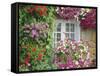 Farmhouse Window Surrounded by Flowers, Lile-Et-Vilaine Near Combourg, Brittany, France, Europe-Ruth Tomlinson-Framed Stretched Canvas