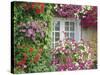 Farmhouse Window Surrounded by Flowers, Lile-Et-Vilaine Near Combourg, Brittany, France, Europe-Ruth Tomlinson-Stretched Canvas