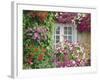 Farmhouse Window Surrounded by Flowers, Lile-Et-Vilaine Near Combourg, Brittany, France, Europe-Ruth Tomlinson-Framed Photographic Print