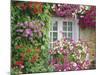 Farmhouse Window Surrounded by Flowers, Lile-Et-Vilaine Near Combourg, Brittany, France, Europe-Ruth Tomlinson-Mounted Photographic Print