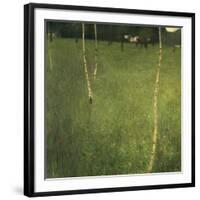 Farmhouse with Birch Trees (Bauenhaus Mit Birken)-Gustav Klimt-Framed Giclee Print