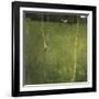 Farmhouse with Birch Trees (Bauenhaus Mit Birken)-Gustav Klimt-Framed Giclee Print