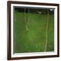 Farmhouse with Birch Trees-Gustav Klimt-Framed Giclee Print