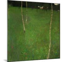 Farmhouse with Birch Trees-Gustav Klimt-Mounted Giclee Print