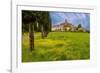 Farmhouse with road lined by Cypress tree row. Yellow mustard field. Montalcino. Tuscany, Italy.-Tom Norring-Framed Photographic Print