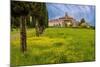 Farmhouse with road lined by Cypress tree row. Yellow mustard field. Montalcino. Tuscany, Italy.-Tom Norring-Mounted Photographic Print