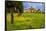 Farmhouse with road lined by Cypress tree row. Yellow mustard field. Montalcino. Tuscany, Italy.-Tom Norring-Framed Stretched Canvas