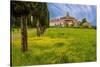 Farmhouse with road lined by Cypress tree row. Yellow mustard field. Montalcino. Tuscany, Italy.-Tom Norring-Stretched Canvas