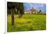 Farmhouse with road lined by Cypress tree row. Yellow mustard field. Montalcino. Tuscany, Italy.-Tom Norring-Framed Photographic Print