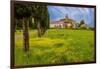 Farmhouse with road lined by Cypress tree row. Yellow mustard field. Montalcino. Tuscany, Italy.-Tom Norring-Framed Photographic Print