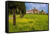 Farmhouse with road lined by Cypress tree row. Yellow mustard field. Montalcino. Tuscany, Italy.-Tom Norring-Framed Stretched Canvas