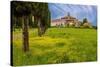 Farmhouse with road lined by Cypress tree row. Yellow mustard field. Montalcino. Tuscany, Italy.-Tom Norring-Stretched Canvas