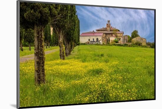 Farmhouse with road lined by Cypress tree row. Yellow mustard field. Montalcino. Tuscany, Italy.-Tom Norring-Mounted Photographic Print