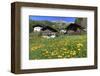 Farmhouses in St. Pankraz, Province of Bolzano, South Tyrol, Italy-null-Framed Art Print