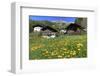 Farmhouses in St. Pankraz, Province of Bolzano, South Tyrol, Italy-null-Framed Art Print