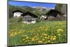 Farmhouses in St. Pankraz, Province of Bolzano, South Tyrol, Italy-null-Mounted Art Print
