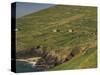 Farmhouses on Hill at Coast-Ron Sanford-Stretched Canvas