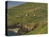 Farmhouses on Hill at Coast-Ron Sanford-Stretched Canvas