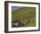 Farmhouses on Hill at Coast-Ron Sanford-Framed Photographic Print