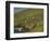 Farmhouses on Hill at Coast-Ron Sanford-Framed Photographic Print