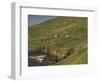 Farmhouses on Hill at Coast-Ron Sanford-Framed Photographic Print