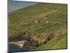 Farmhouses on Hill at Coast-Ron Sanford-Mounted Photographic Print