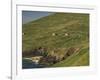 Farmhouses on Hill at Coast-Ron Sanford-Framed Photographic Print