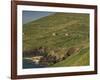 Farmhouses on Hill at Coast-Ron Sanford-Framed Photographic Print