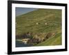 Farmhouses on Hill at Coast-Ron Sanford-Framed Photographic Print