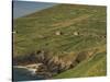 Farmhouses on Hill at Coast-Ron Sanford-Stretched Canvas