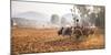 Farming Between Inle Lake and Kalaw, Shan State, Myanmar (Burma), Asia-Matthew Williams-Ellis-Mounted Photographic Print