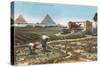 Farming by the Nile, Pyramids, Egypt-null-Stretched Canvas