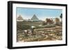 Farming by the Nile, Pyramids, Egypt-null-Framed Art Print