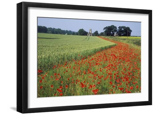 Photographic Print, , large
